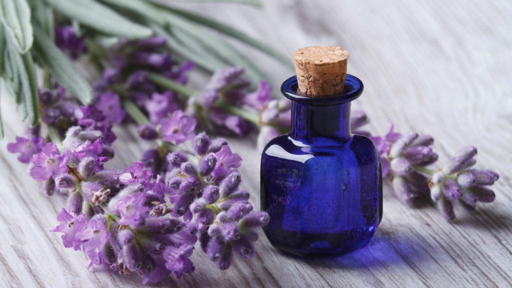 Lavender Oil - How to Sleep When Stressed and Anxious - GospelThemes