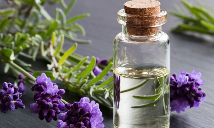 Best Lavender Essential Oils