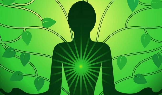 Most Practiced Heart Chakra Affirmations