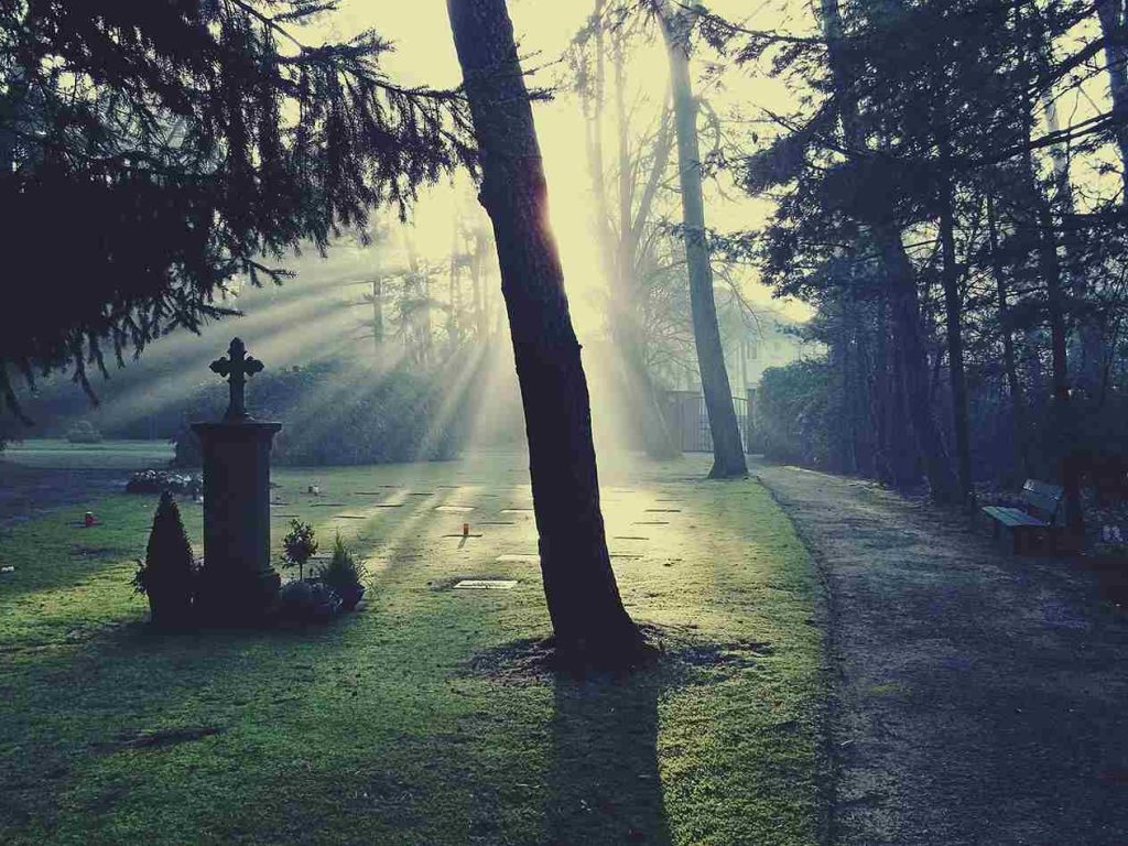 A morning light washing over a cemetery gravestone.