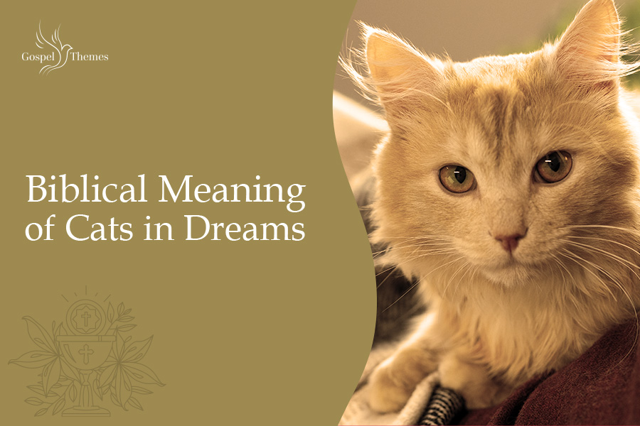 Biblical Meaning Of Cats In Dreams 1 