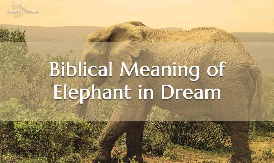 Biblical Meaning of Elephant in Dream