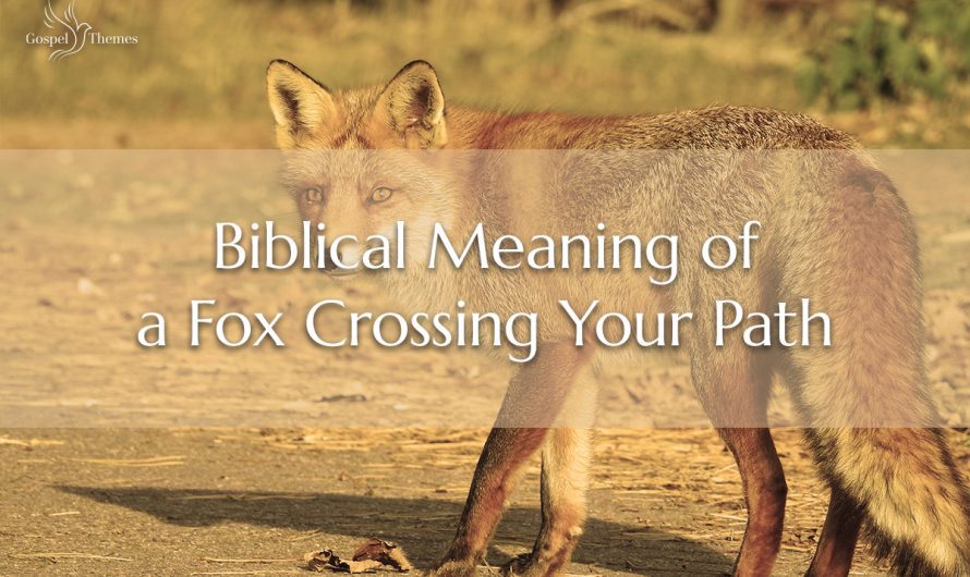 Biblical Meaning of a Fox Crossing Your Path