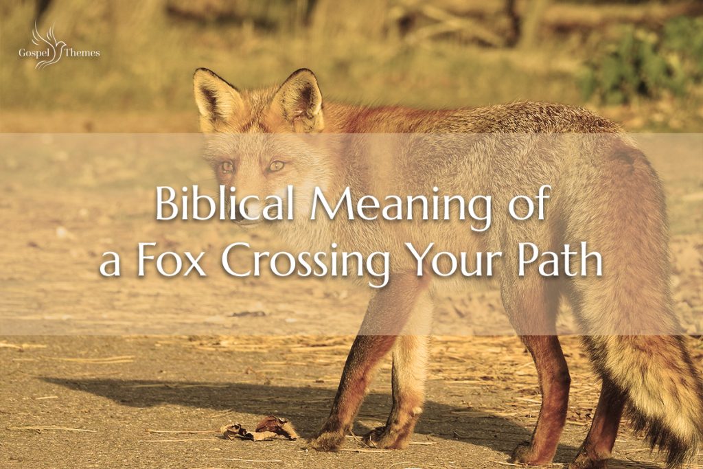 the-biblical-meaning-of-a-fox-crossing-your-path-decoded