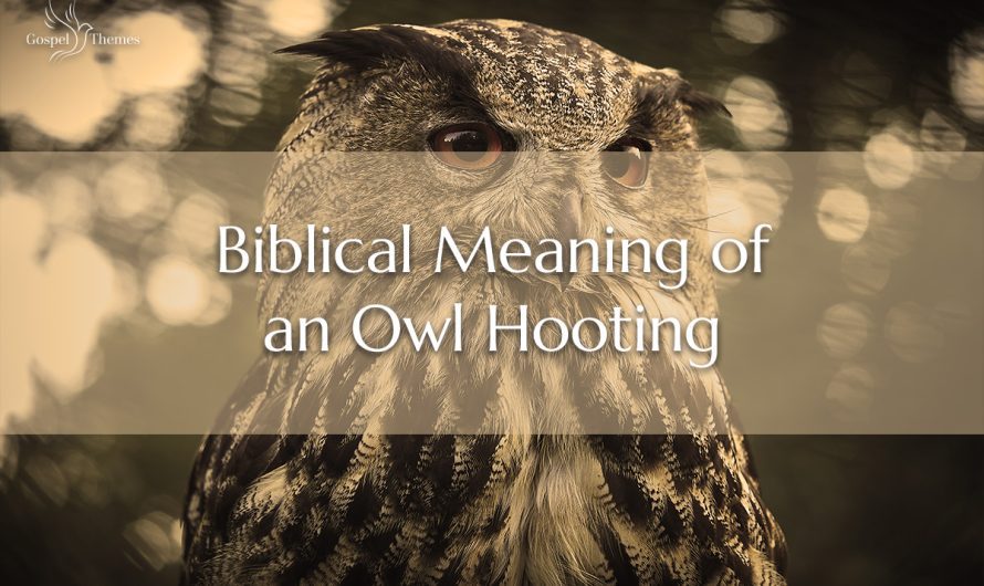 Biblical Meaning of an Owl Hooting