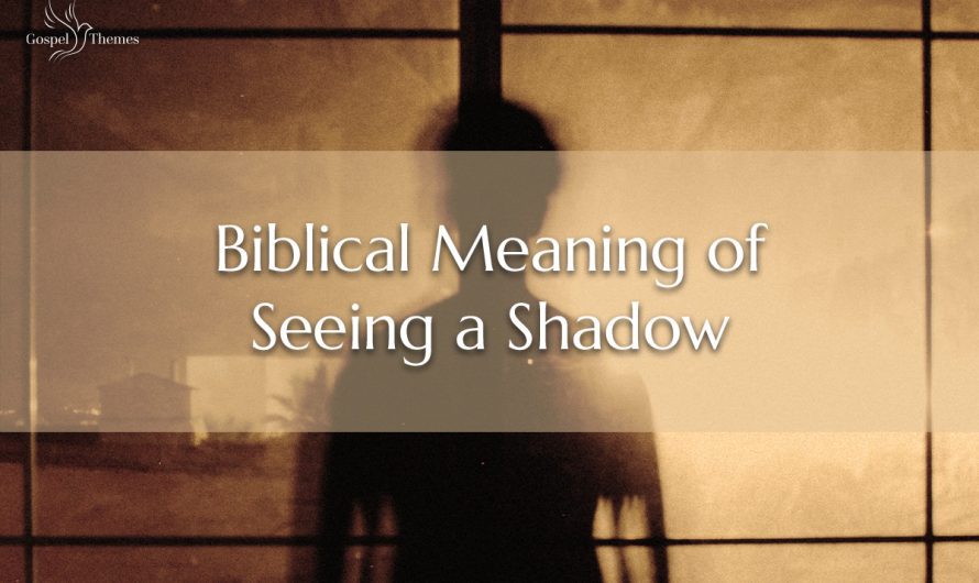 Biblical Meaning of Seeing a Shadow