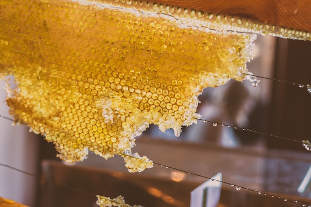 Bible verses about honey
