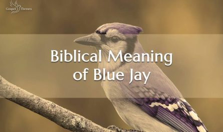Biblical Meaning of Blue Jay