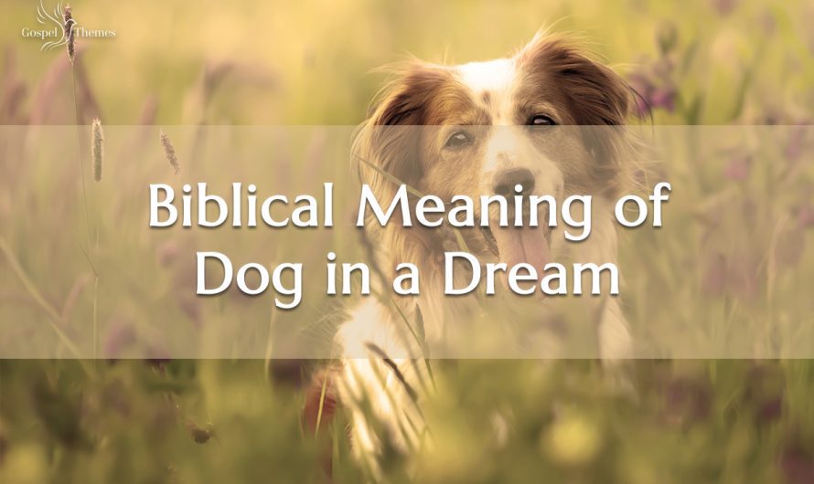 Biblical Meaning of Dog in a Dream