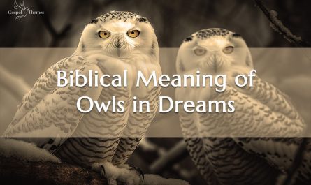 Biblical Meaning of Owls in Dreams