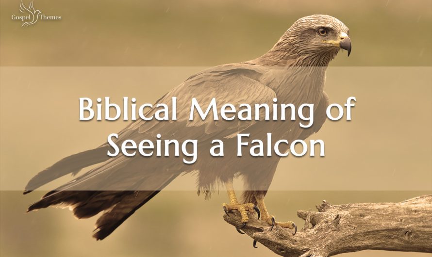 Biblical Meaning of Seeing a Falcon
