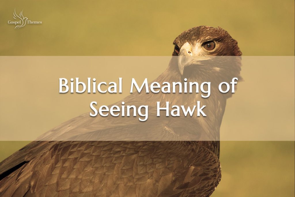 The Biblical Meaning of Seeing a Hawk