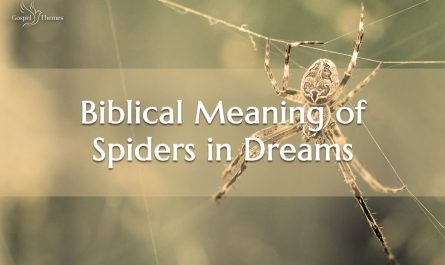Biblical Meaning of Spiders in Dreams