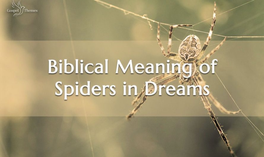 Biblical Meaning of Spiders in Dreams