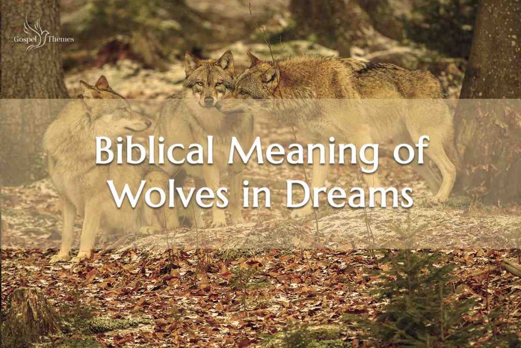 Biblical Meaning of Wolves in Dreams Verse References