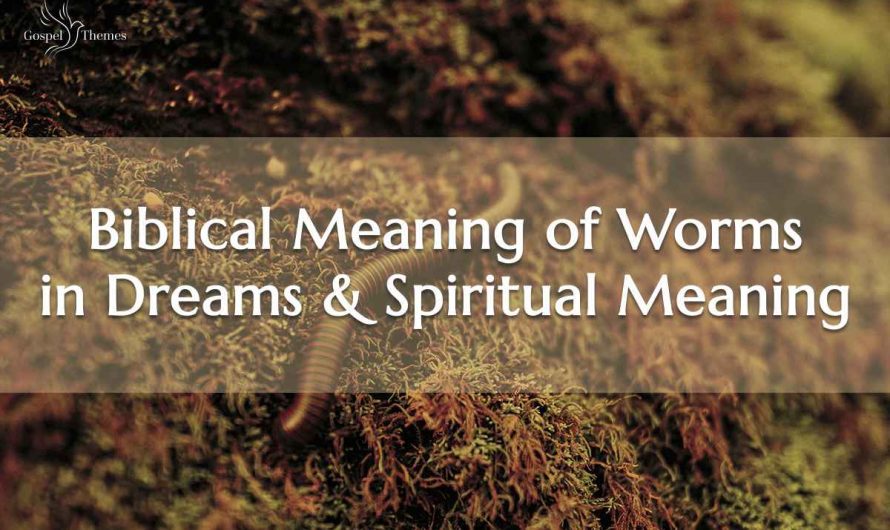 Biblical Meaning of Worms in Dreams & Spiritual Meaning
