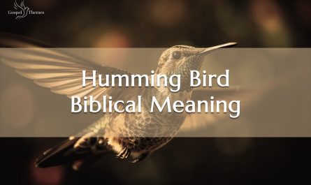 Hummingbird-Biblical-Meaning