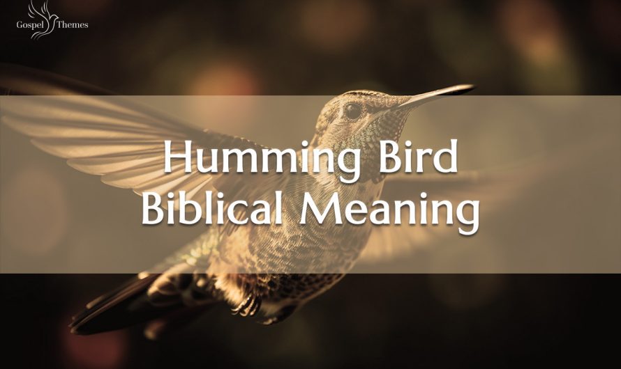 Hummingbird Biblical Meaning