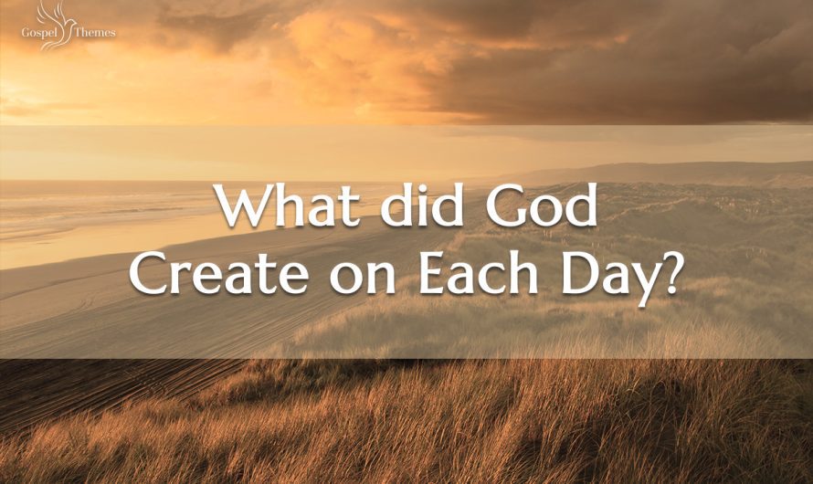 What Did God Create on Each Day