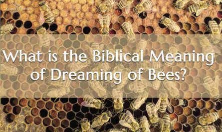 What is the Biblical Meaning of Dreaming of Bees