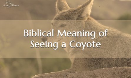 Biblical Meaning of Seeing a Coyote