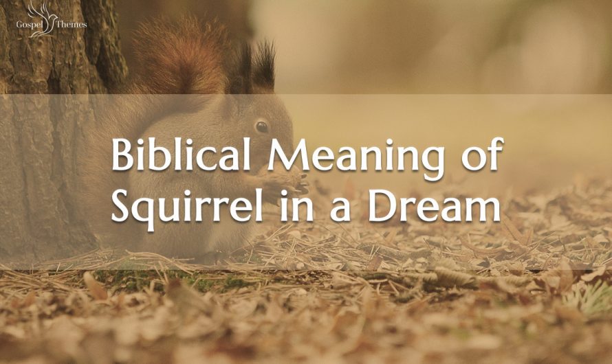 Biblical Meaning of a Squirrel in a Dream