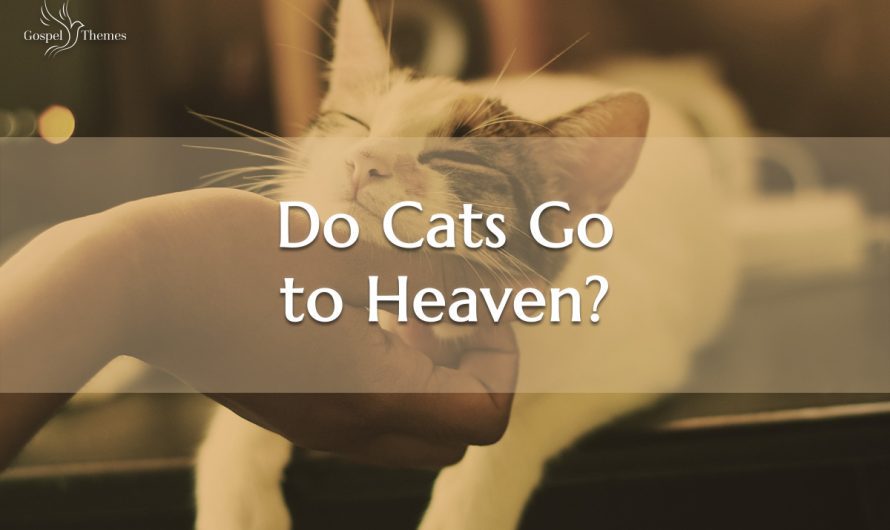 Do Cats Go To Heaven?