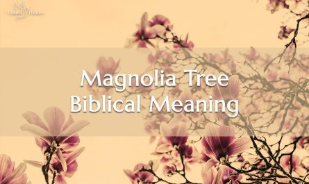 Magnolia Tree Biblical Meaning