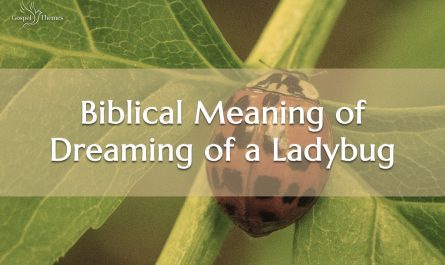 Biblical Meaning of Dreaming of a Ladybug