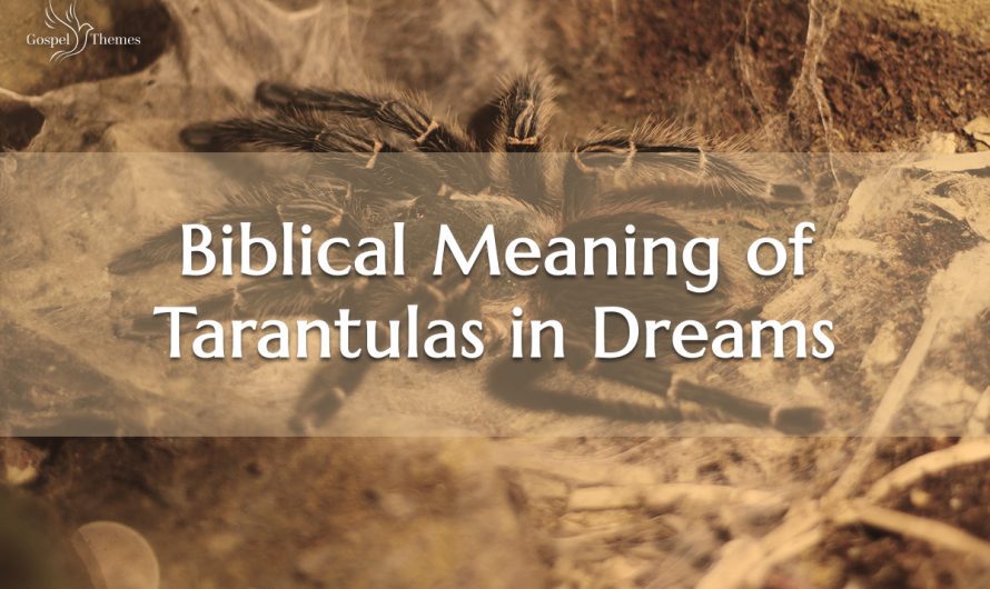 Biblical Meaning of Tarantulas in Dreams