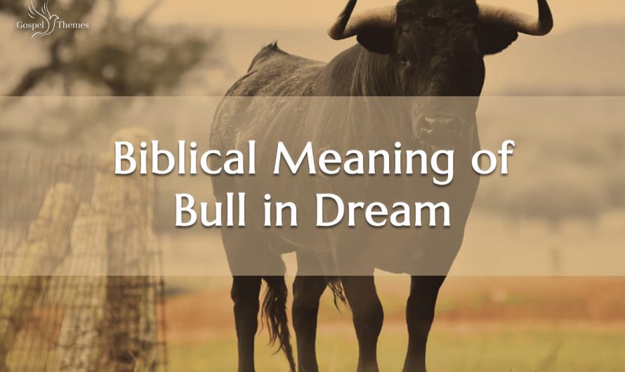 Biblical Meaning of Bull in Dream