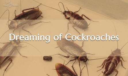 Dreaming of Cockroaches