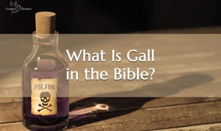 What Is Gall in the Bible