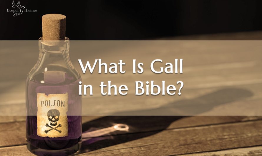 What is Gall in the Bible?